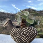 Othonna アルミアナ