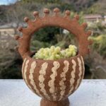 セダム　モシニアナム