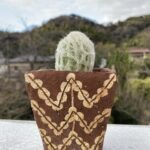 エスポストア　幻楽